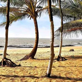 Alibaug Beach